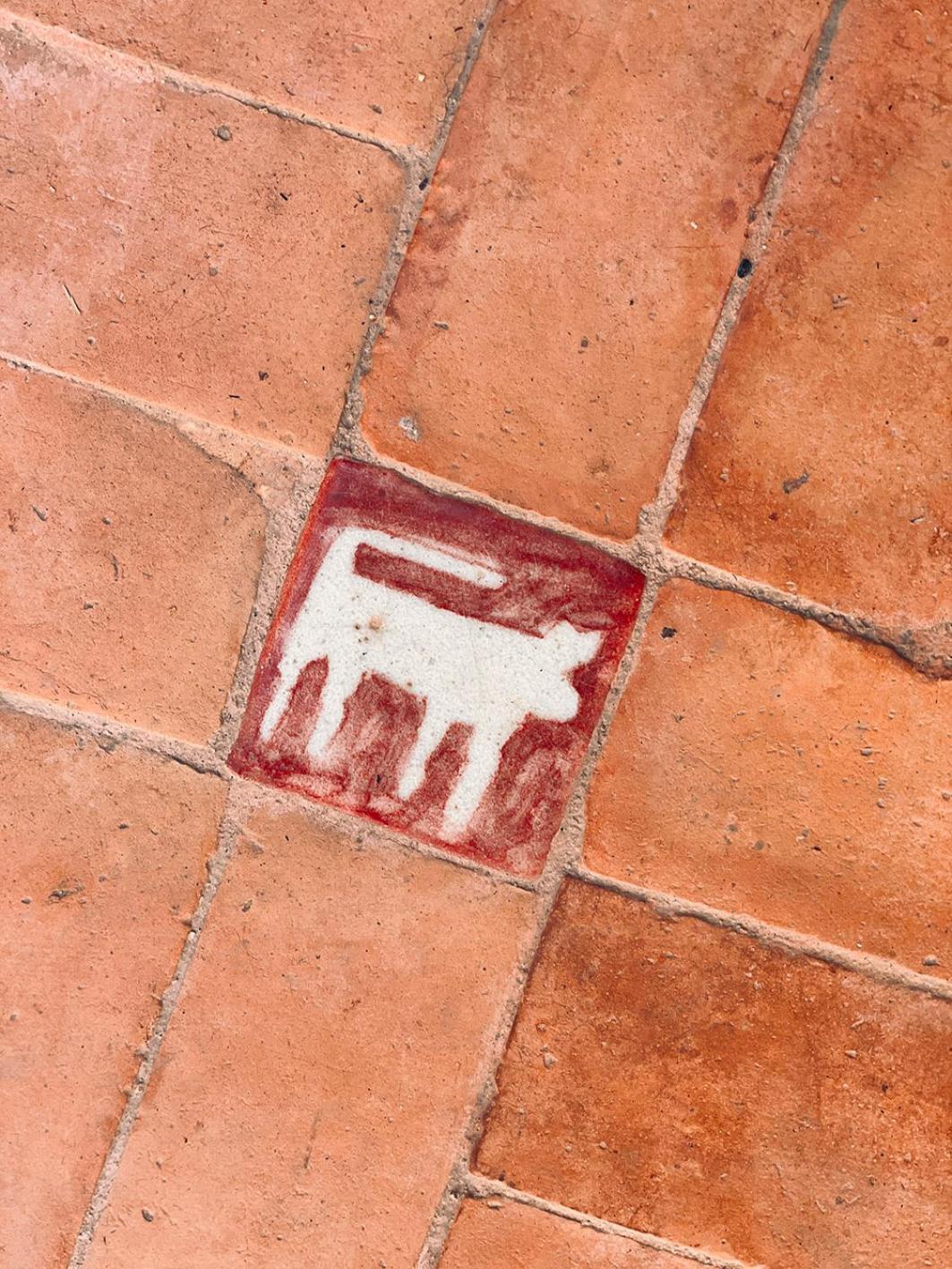 Riyad Lion Rouge Marrakesh Exterior foto