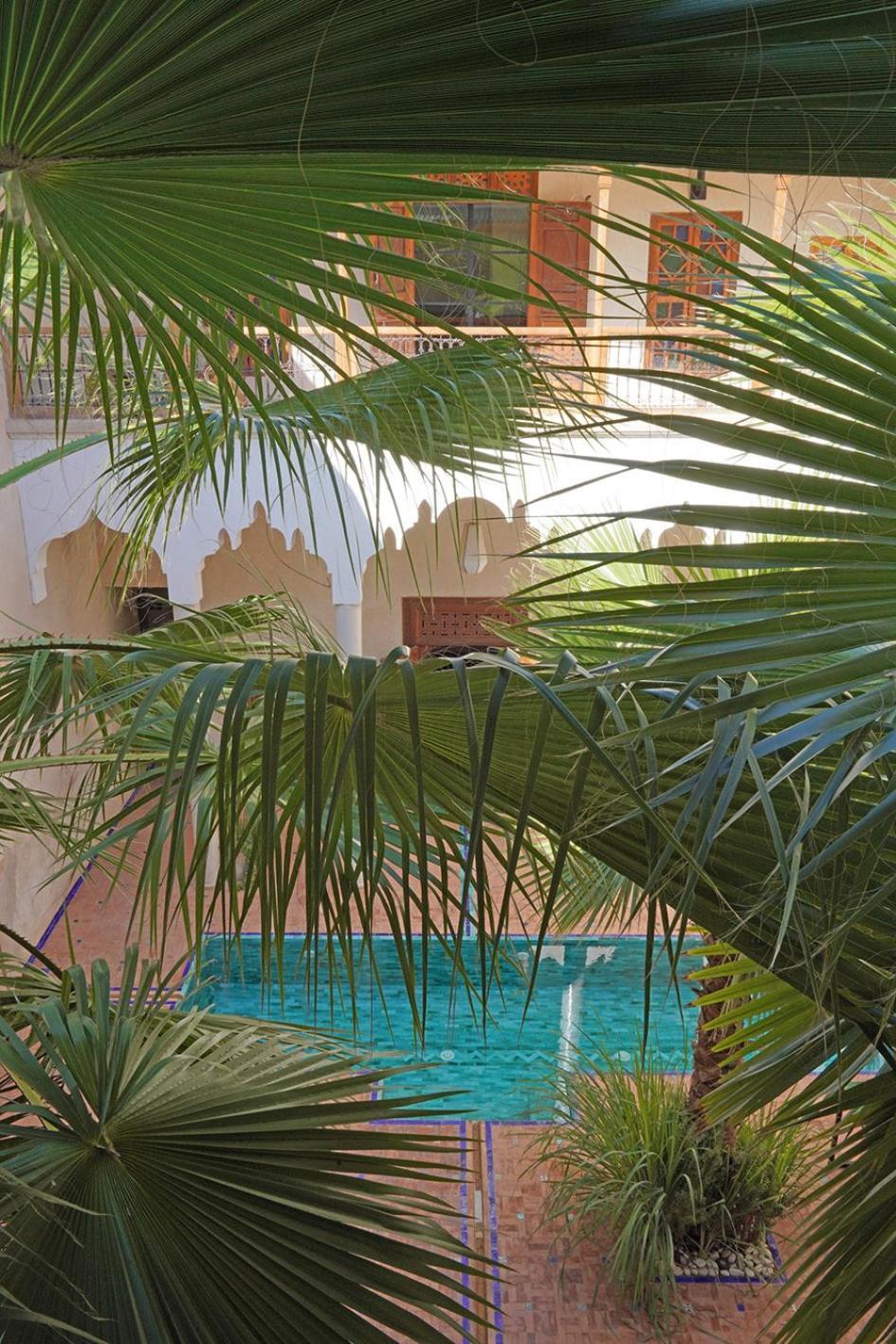 Riyad Lion Rouge Marrakesh Exterior foto